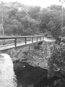 Across the Land of Time