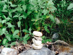 Shhh They're Meditating